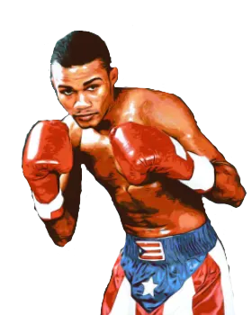 Felix Trinidad Boxrec record link & bouts